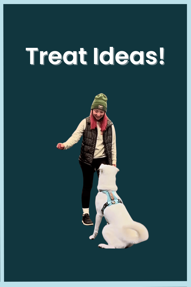 Affordable and Easy Treat Ideas for Positive Reinforcement&nbsp;Training
